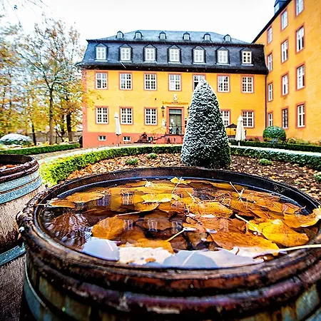 Schlosshotelgedern ホテル Gedern